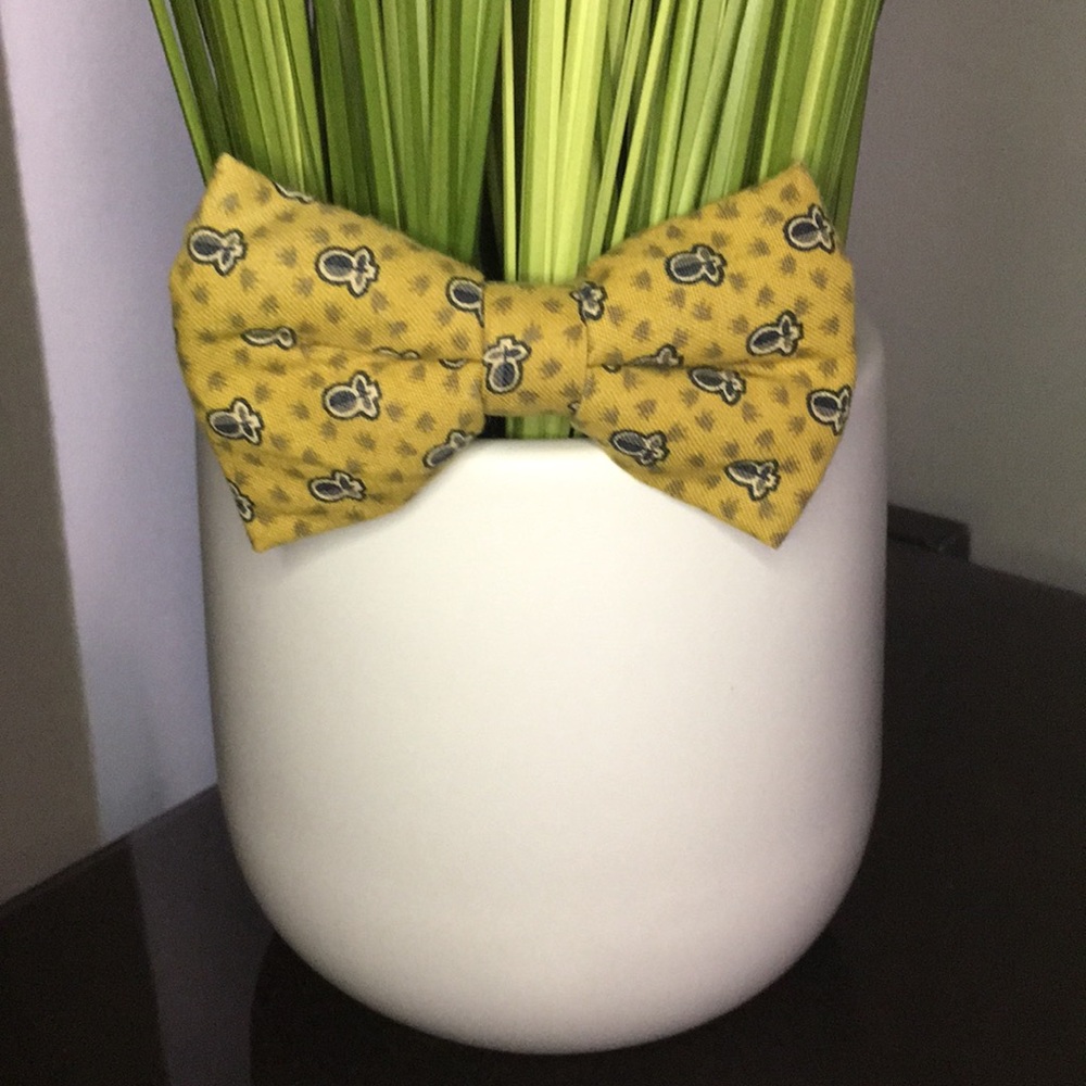 Boys BowTie